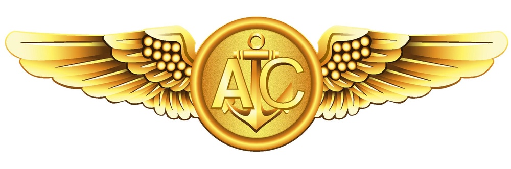 U.S. Navy Naval Aircrew wings insignia